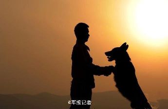 難以割舍的感情 “無(wú)聲戰(zhàn)友”惜別主人