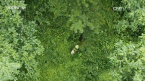 紀錄片里的中國，每一幀都美到讓人想唱國歌