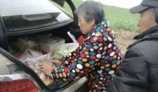 滿滿“故鄉(xiāng)味”，讀懂父母愛