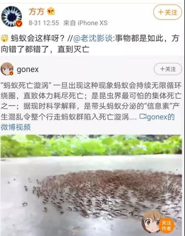 公知為何熱衷歷史虛無主義？