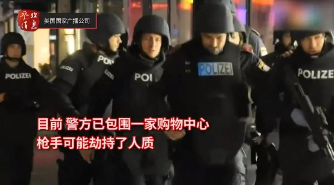 維也納恐襲案細(xì)節(jié)曝光！多名全副武裝襲擊者仍在逃