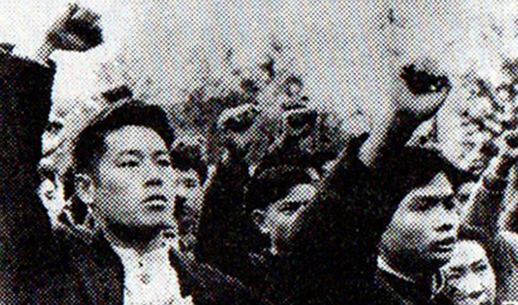 抗美援朝中，豬鬃何以成為“對(duì)美帝斗爭(zhēng)的重要武器之一”