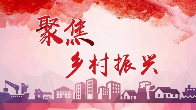 建強(qiáng)黨員隊(duì)伍建設(shè)，當(dāng)好鄉(xiāng)村振興領(lǐng)路人