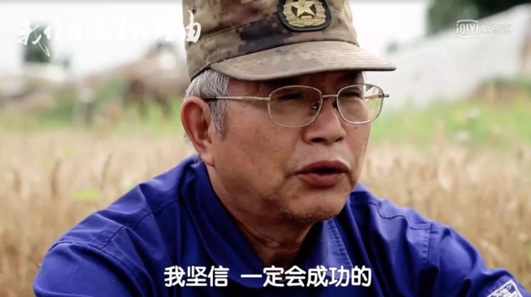 日本“堆糞仙人”？