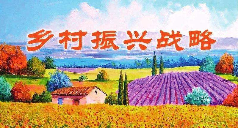 讓青春在鄉(xiāng)村振興中逐夢前行