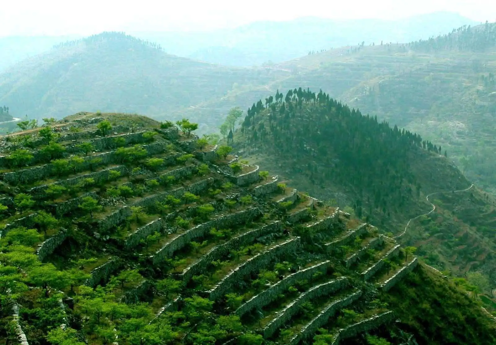 堅(jiān)持退耕還林，讓山川著綠林海生金