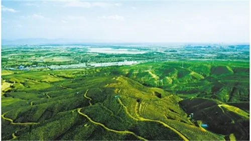 走生態(tài)優(yōu)先、綠色發(fā)展之路