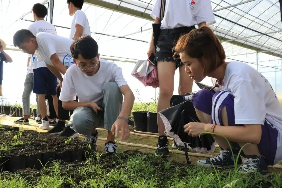 衢平共振，走好協(xié)作振興之路
