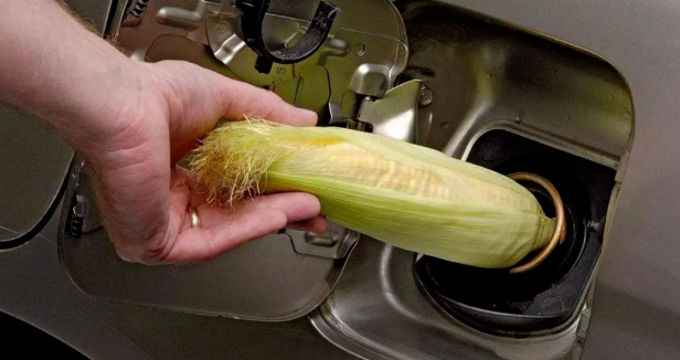 全球糧荒，美國放火燒糧？