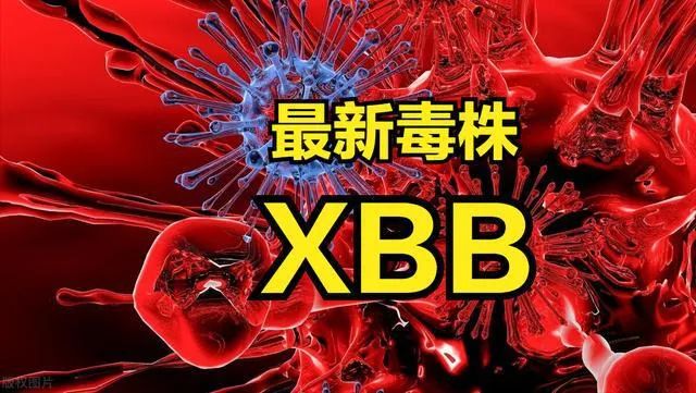 XBB新毒王入侵？誰在炒作新一輪搶購潮？
