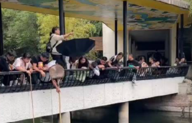 成都動(dòng)物園工作人員向游客索取500元撈手機(jī)？真相來(lái)了
