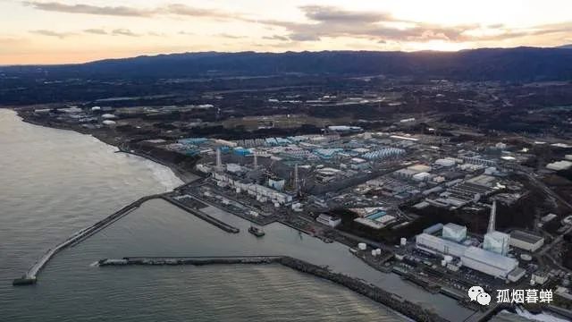 福島幼兒園門口的草地，輻射超標(biāo)十幾倍